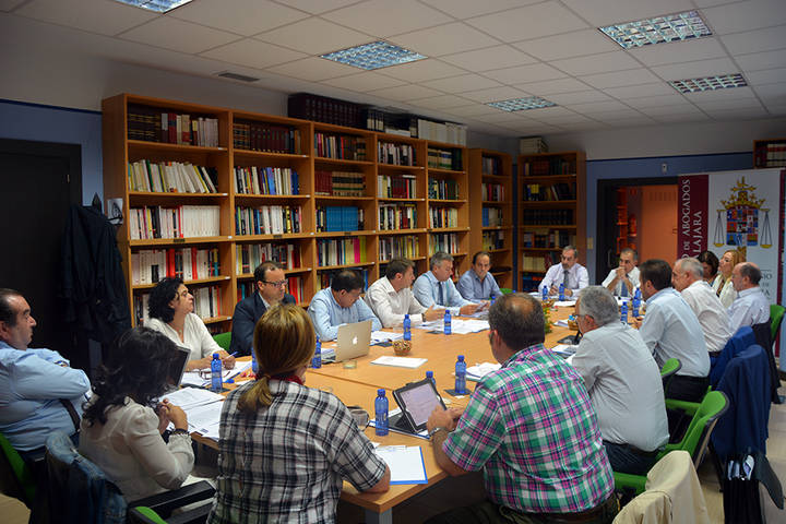 El Consejo de la Abogacía de Castilla-La Mancha celebra su Pleno en Guadalajara