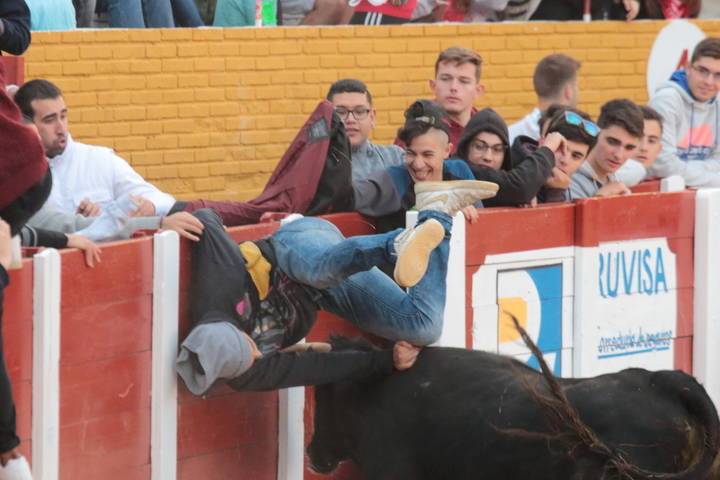 Foto : www.eduardobonillaruiz.com