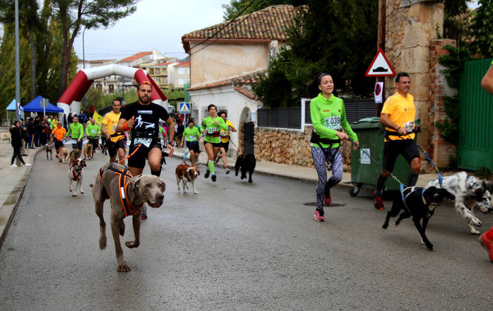 Triunfo de los favoritos en el primer canicross de la temporada celebrado en Trillo
