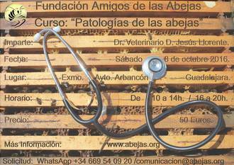 Arbancón acogerá un curso sobre las patologías de las abejas