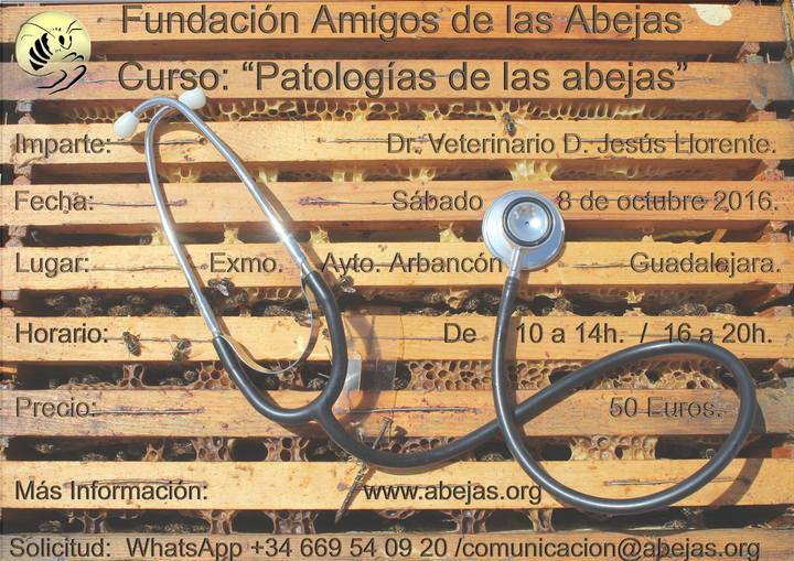 Arbancón acogerá un curso sobre las patologías de las abejas