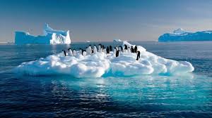 El hielo del Artico desaparecerá en el 2050