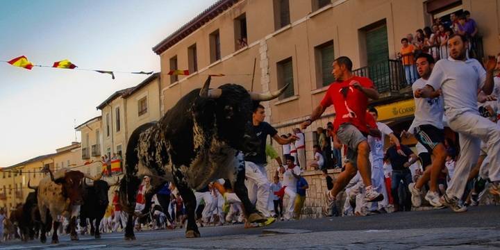 Dos heridos por asta de toro y numerosas personas atendidas en el tradicional encierro de Brihuega