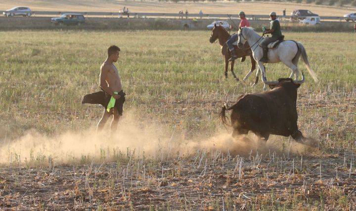 Encierro por el campo en Marchamalo