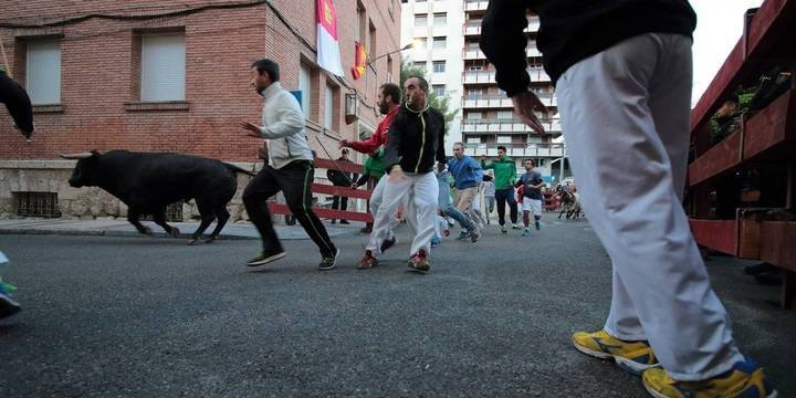 Foto : www.eduardobonillaruiz.com