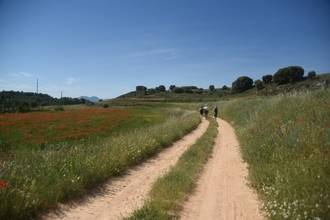 La Diputación y la CEOE organizan un viaje a La Alcarria para medios especializados en turismo