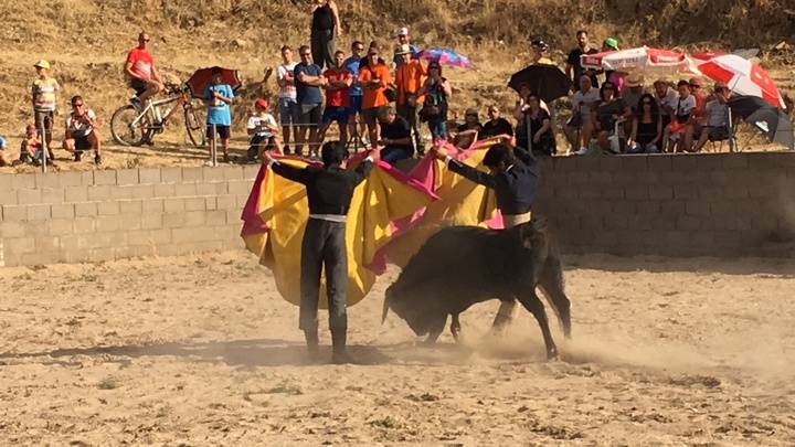 Los toros volvieron a las fiestas de Tamajón