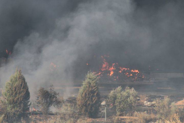 Foto : www.eduardobonillaruiz.com