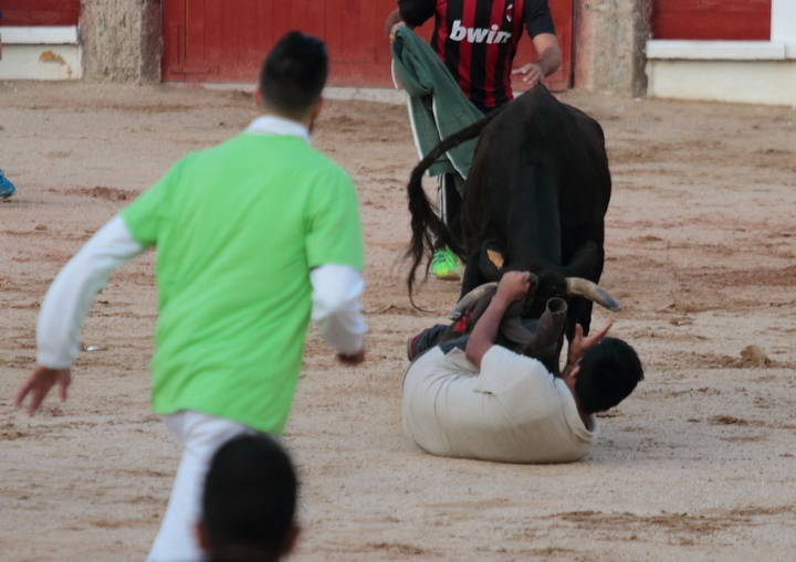 Foto : www.eduardobonillaruiz.com