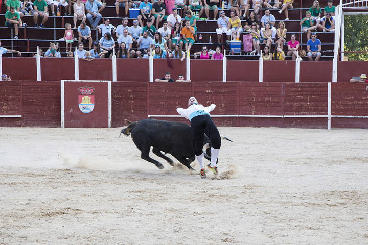 El valenciano Roberto Alegre, Rober, se lleva el Concurso de Recortadores de Trillo