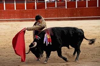 Cuatro festejos taurinos en Sigüenza para San Roque 2016