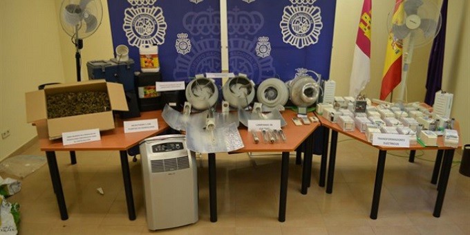 Pillan a dos personas en El Casar con 1.300 plantas de marihuana tras manipular la red eléctrica