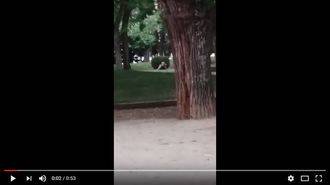 ‘Apretón’ sexual en el Parque de La Concordia de Guadalajara