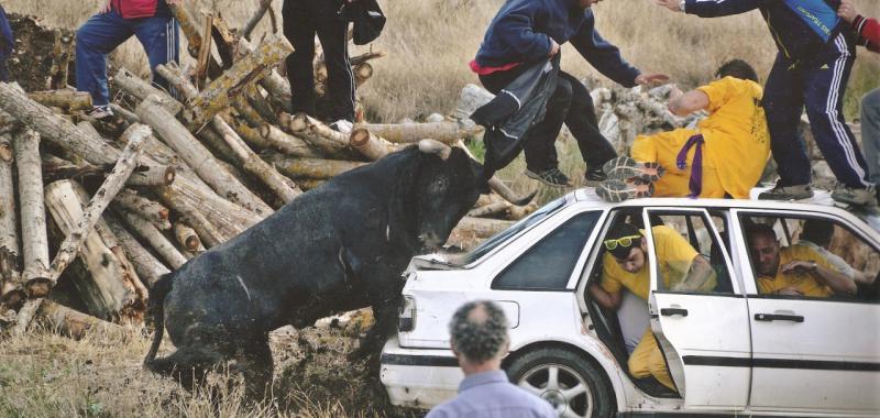 Ganadora de la Categoría B