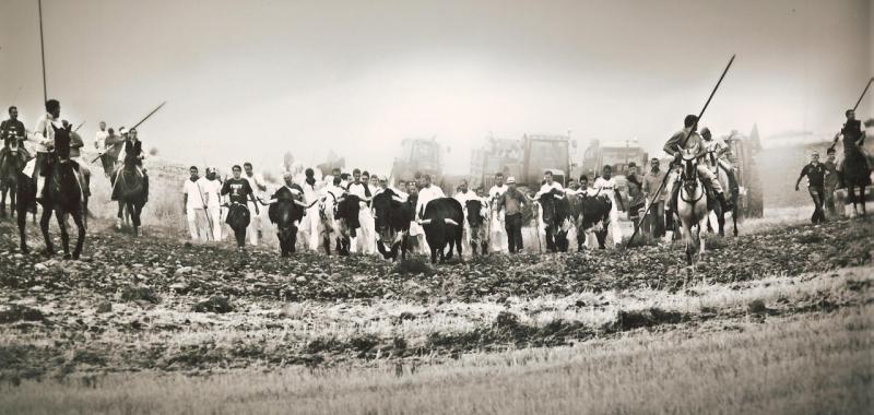 Ganadora de la Categoría C