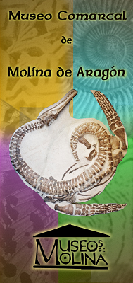 Museo Comarcal de Molina