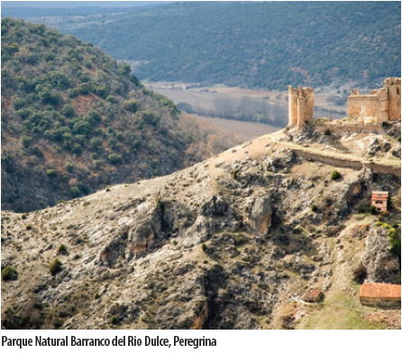 Parque_Natural_Barranco_Rio_Dulce