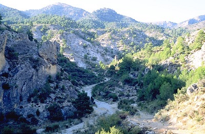 La Sierra de Cabras, el techo de la provincia de Albacete.