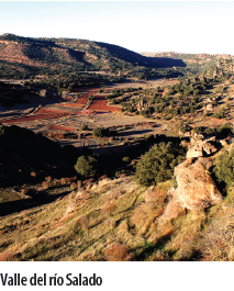 Valle_del_Rio_Salado