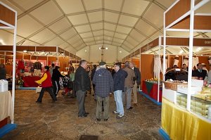 Una gran carpa cubrira la plaza de la Hora Una gran carpa cubrira la plaza de la Hora
