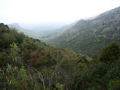 Sierra Madrona, en Ciudad Real. Sierra Madrona, en Ciudad Real.