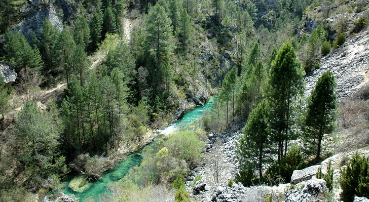 El Alto Tajo, que ocupa territorio de las provincias de Guadalajara y Cuenca. El Alto Tajo, que ocupa territorio de las provincias de Guadalajara y Cuenca.